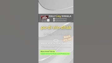 Nap in Sinhala | Daily Lazy Sinhala | Learn Sinhala | Lazy But Smart Sinhala #learnsinhala