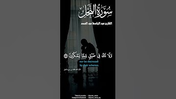 واصبر وما صبرك إلا بالله #قران #قرآن #قران كريم #quran #اكسبلور #explore #foryou #foryoupage #viral