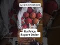 Pomegranate Fix Price Export To Saudi Arabia 🇸🇦 Get Your 1st Export Order No Buyer Search Fix Pric