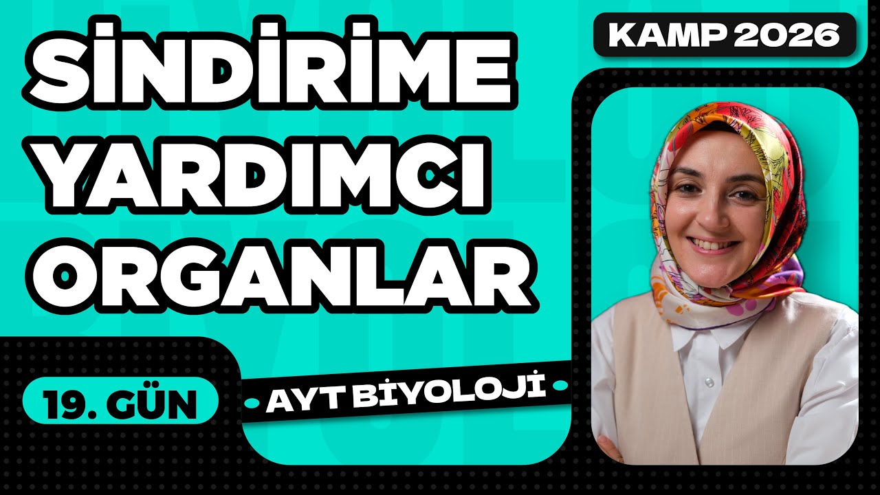 19) Sindirime Yardımcı Organlar | Sindirim Sistemi | 11. Sınıf | AYT Biyoloji Kampı 19. Video