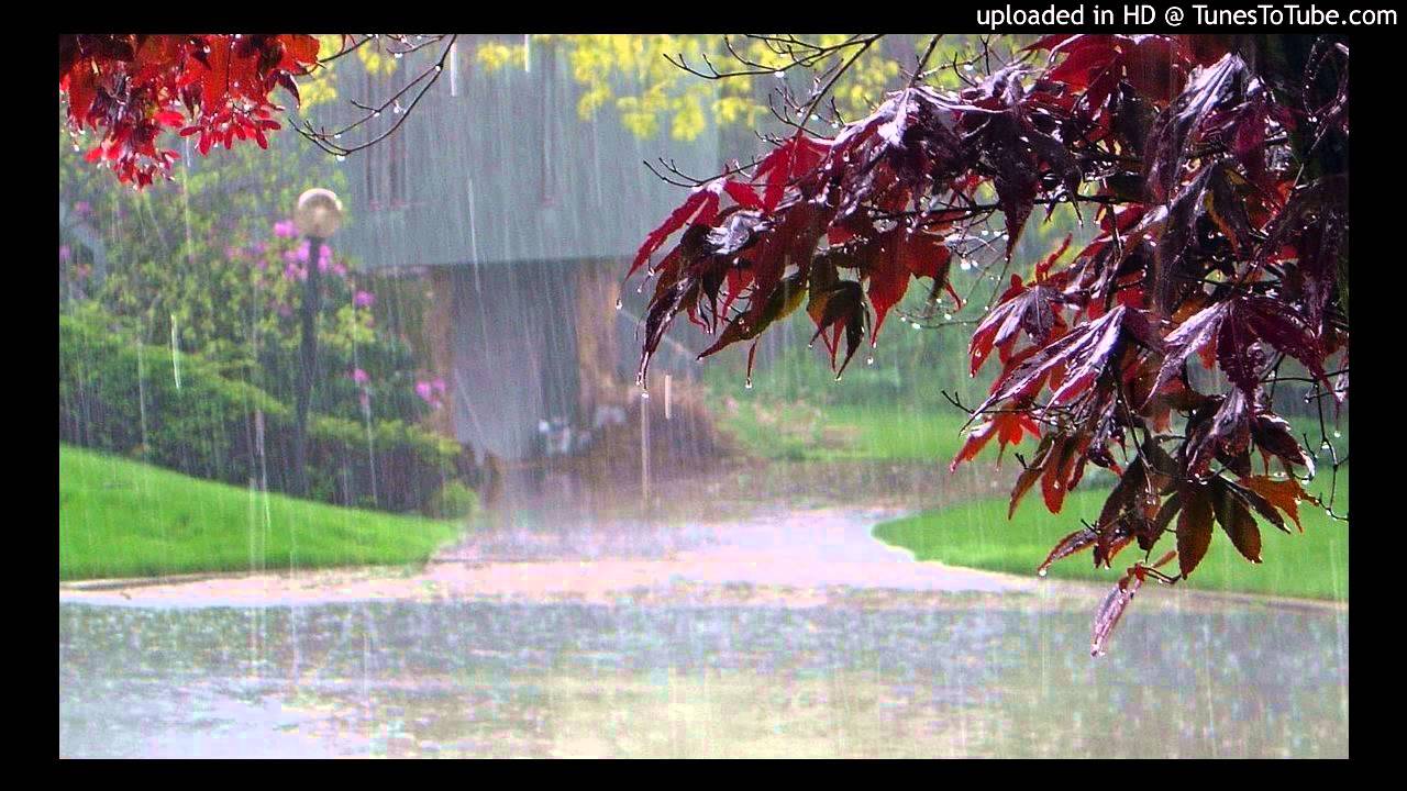 The Gentlemen Losers - Honey Bunch