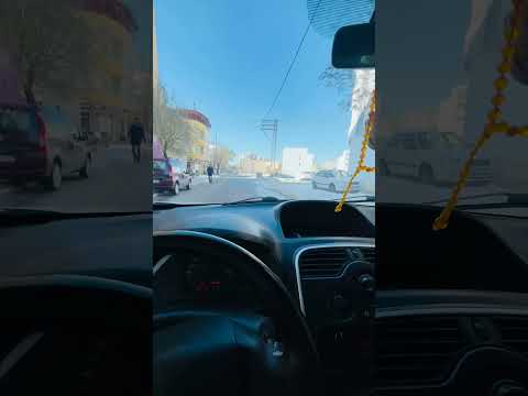 كلس Cat Funny Dance 