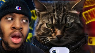 Maxwell The Cat Needs To Be Stopped...