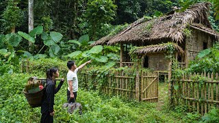 Transforming an Abandoned Bamboo House into a Shelter in the Wilderness Update