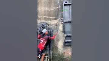 Cá Lớn - Cá Rô Phi mắc kẹt trên cửa xả lũ 😱 #khacthuyvlogg