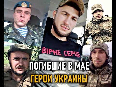 Боевые потери Украины. Май 2019-го