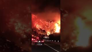 🔥🚨Fire captured in the morning, while driving #jungle fire