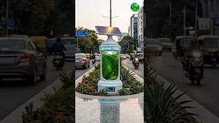 Algea Tree #business #motivation #businesstipsforsmallbusinessowners #motivational #fruit #inspirati