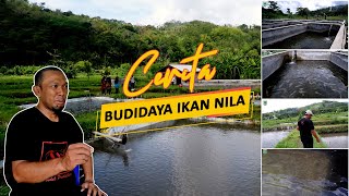 Cerita Budidaya  Ikan Nila