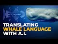 Could Chat GPT Talk to Whales?