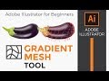 Adobe Illustrator: How to use the gradient mesh tool for beginners