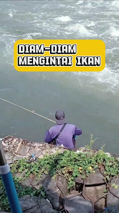 Hanya diam bisa dapat ikan #mancing #fishing
