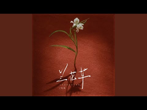兰花草 