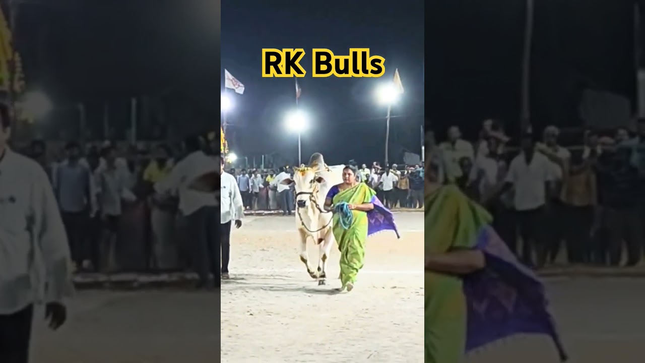 RK Bulls ll Vetapalem ll Vadlamudi 