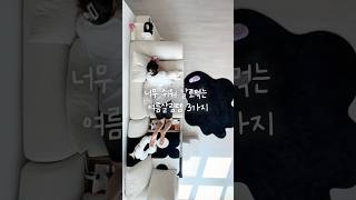 쉽다 쉬워! 날로 먹는 여름살림템 3가지