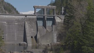 Skagit County farmers are fed up, fighting Seattle City Light’s Skagit River dam programs