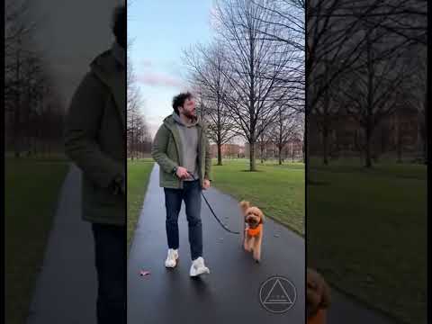 Related Embedded Video Item Thumbnail