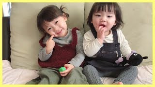 新年あけましておめでとうございます🎍【ゆうひなた】