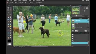 Removing Objects with Clone Stamp Tool   Pixlr