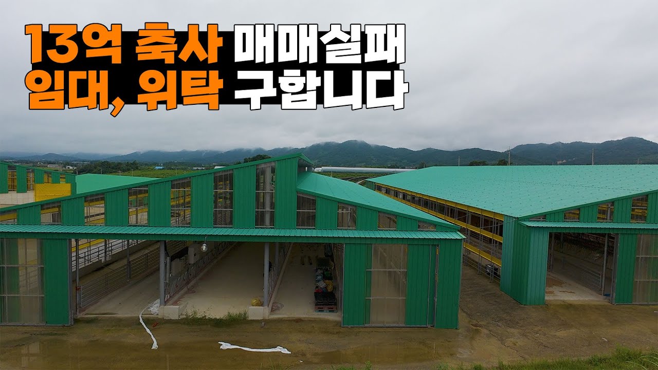 13억 투자한 축사.. 결국 매매 실패, 임대 나왔습니다 [시내농장]