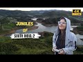 Untouched side of ooty  tracking tigers in tamil nadus jungles 4k atr day 87 88 89 90 91 92
