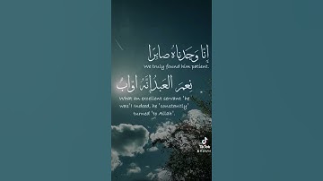 سلمان العتيبي - سورة ص