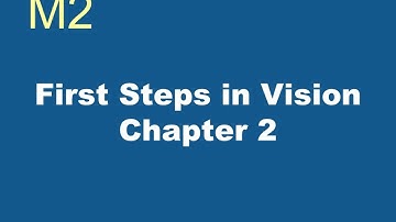 Sensation & Perception - M2 - First Steps in Vision
