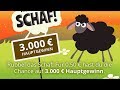 Asmr das rubbellos rubbel das schaf weggerubbelt  3000 euro gewinn jackpot 