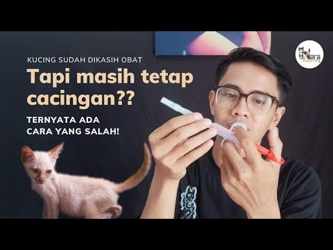 Video: Capillariasis Pada Kucing - Cacing Kucing - Gejala & Pengobatan Cacingan