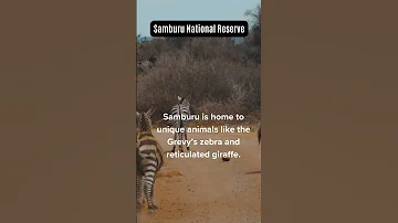 Samburu National Park 