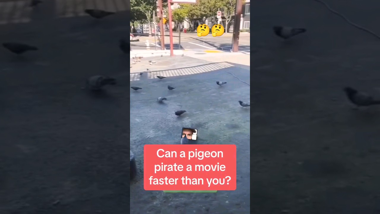 what that bird watching 👀 