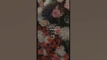 إِنَّ الَّذِين يؤْذونَ الله ورسُولَه لَعَنهُم اللَهُ فِي الدُّنْيَا وَالْآخِرَة#القارئ ياسر الدوسري