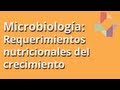 Requerimientos nutricionales del crecimiento - Microbiología - Educatina