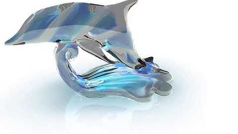 dolphin 3D animation