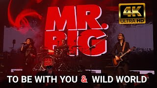 MR. BIG - 