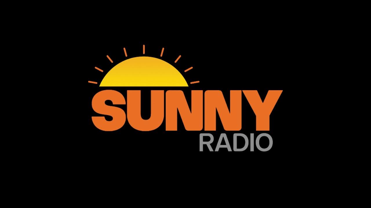 Sunny logo. Радио sunny. Каталог sunny. Nissan sunny fb15 super saloon комплектация. Nissan sunny 2002.