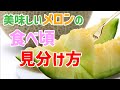 メロンの食べ頃見分け方！スーパーで買っても追熟の見極めができれば甘くなる！
