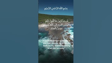 وَأُفَوِّضُ أَمْرِىٓ إِلَى ٱللَّهِ ۚ إِنَّ ٱللَّهَ بَصِيرٌۢ بِٱلْعِبَادِ - - سورة غافر