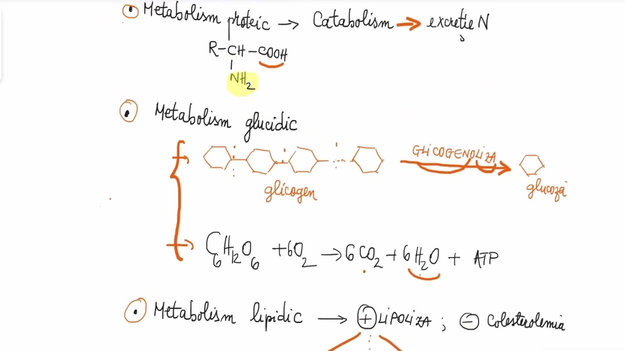Barrons 13.3 Tiroida