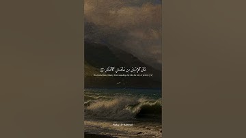 سورة الرحمن من الآية 11 إلي الآية 16 💜 #قرآن #quran