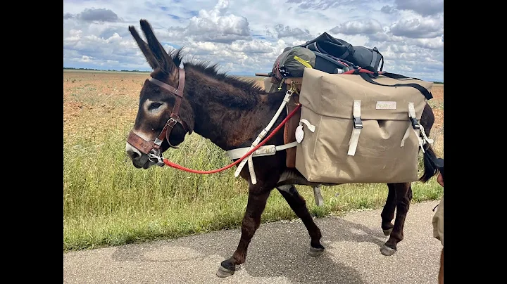 Camino Frances: Etapa 21, Len to Villavante via th...