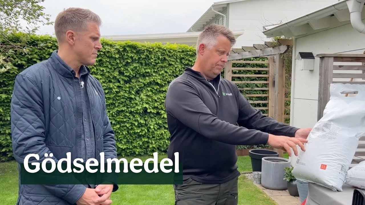 Gödsel för den perfekta gräsmattan