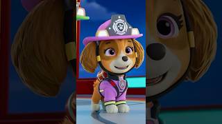 paw patrol fire rescue with skye zuma shorts