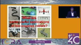 Fumitoshi Matsuno - Beyond Living Things: Bio-Inspired Robots and Disaster Response Robotics