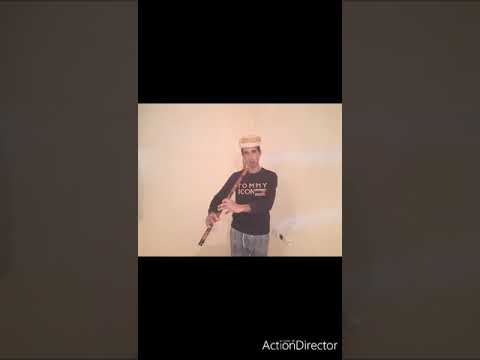 شيخ نوردين لغليزاني سيدي يحيا 2