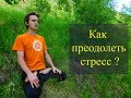 Как преодолеть стресс ? Алексей Куяшов.