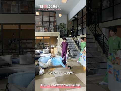 『#初恋DOGs』メイキング🎬撮影合間のトレーニング🏋🏻 #成田凌 #ナイヌ #萩原利久