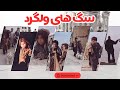 فیلم افغانی سگ های ولگرد قسمت ۲ سرنوشت تلخ زنان و کودکان در افغانستان فیلم افغانی سگ های ولگرد قسمت ۲ سرنوشت تلخ زنان و کودکان در افغانستان