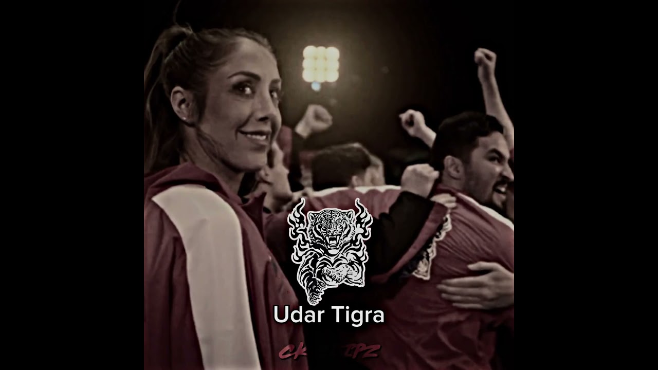 Best dojos in the Karate Kid / Cobra Kai 