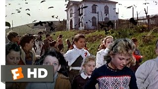 Crows Attack the Students - The Birds (6/11) Movie CLIP (1963) HD